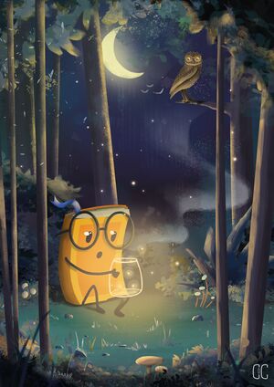 Poster Dicoo Forêt.jpg