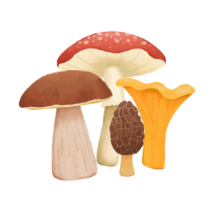 Picto champignons.png